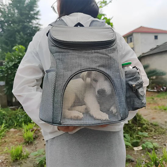 Sac à dos pour chien gris sur les épaules démo