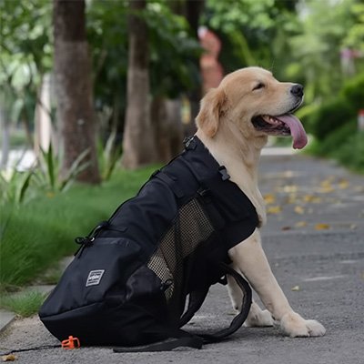 Sac à dos pour Chien noir
