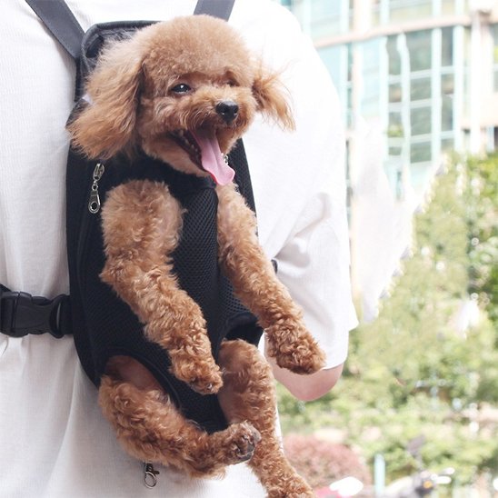 Sac de transport chien caniche