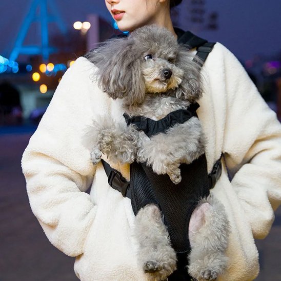 Sac de transport chien frontal