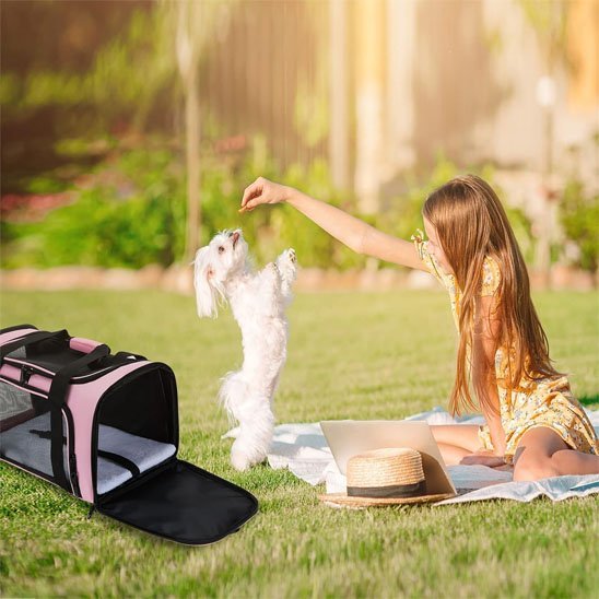 Sac de transport chien | Voyage Confort - Pro - canin.com