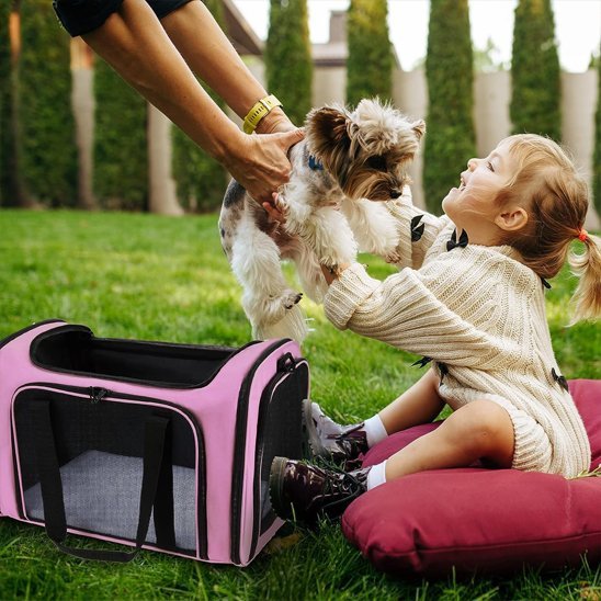 Sac de transport chien | Voyage Confort - Pro - canin.com