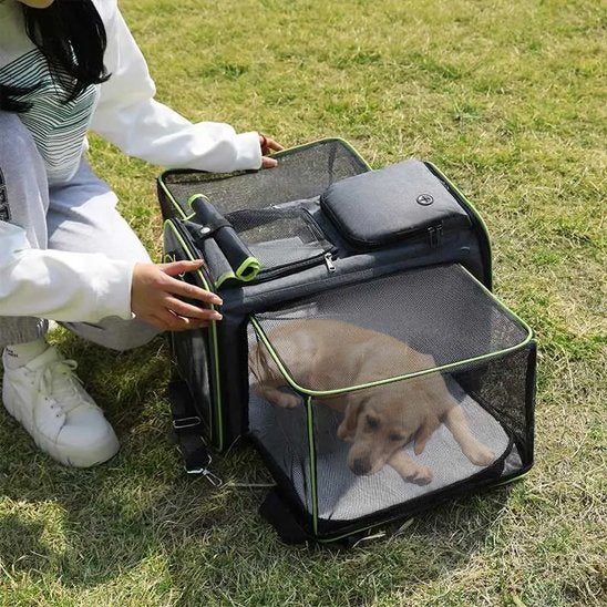 Sac de transport pour chien au sol chien a l'intérieur