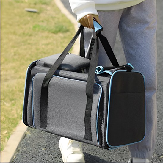 Sac de transport pour chien bleu a la main