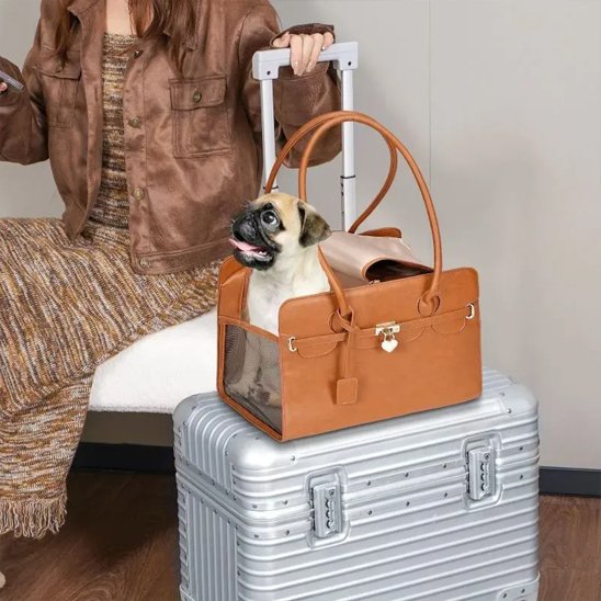 Sac de transport pour chien brun sur valise