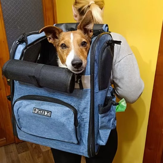 Sac de transport pour chien ouverture