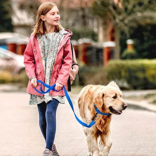 une laisse de chien - Pro - canin.com