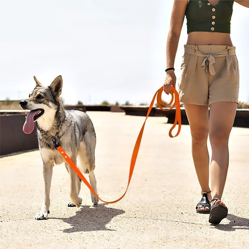 une laisse de chien - Pro - canin.com