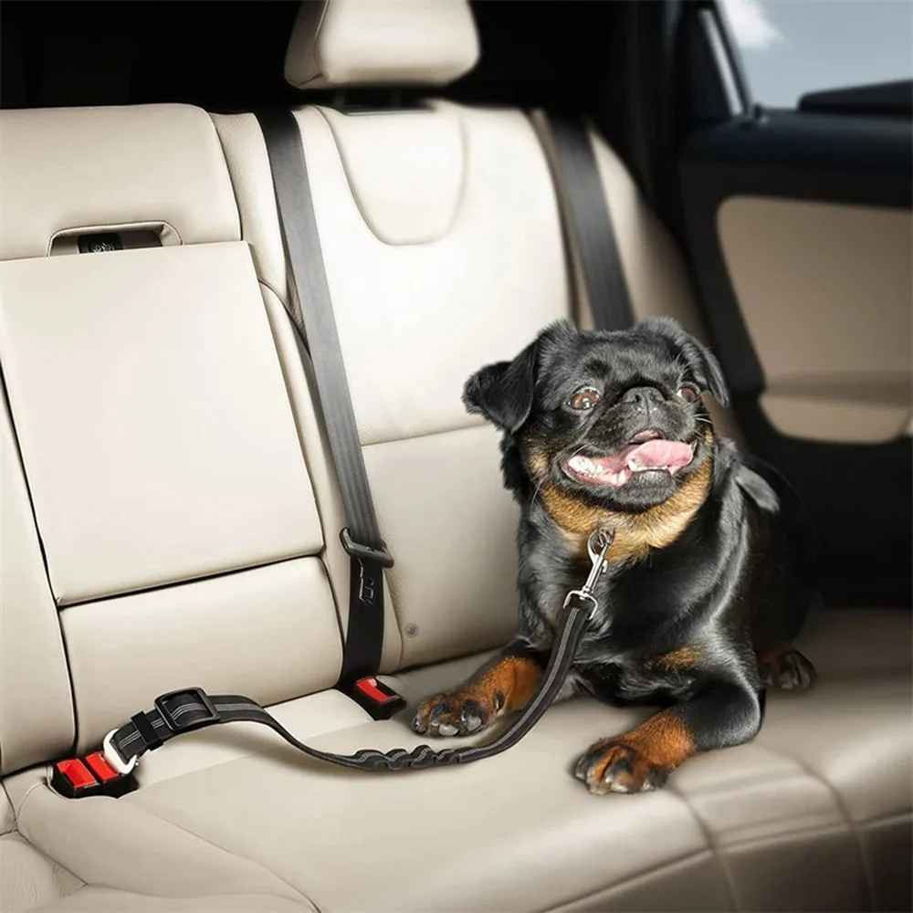 une laisse de chien |sécurité auto - Pro - canin.com