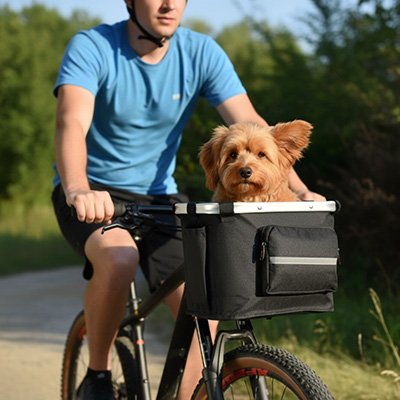 Vélo panier Chien noir et chien brun