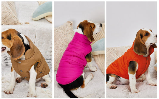 VESTE CHAUDE - Pro - canin.com