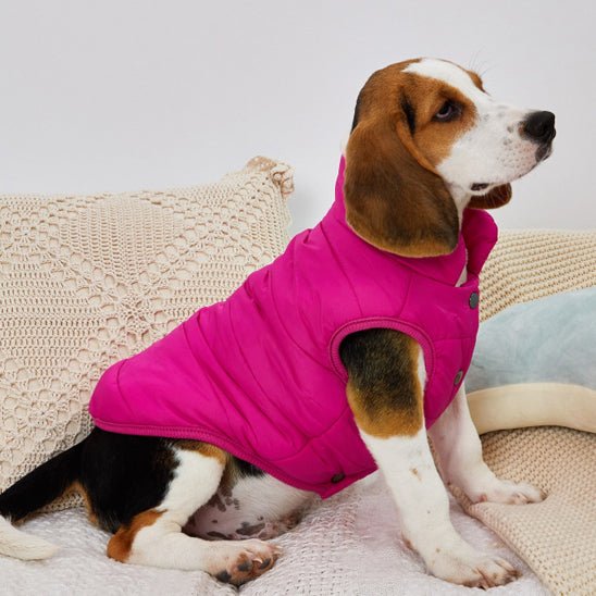 VESTE CHAUDE - Pro - canin.com