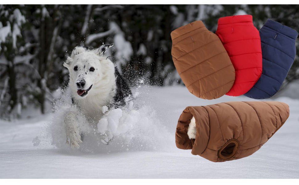 VESTE CHAUDE - Pro - canin.com