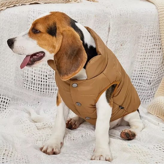 VESTE CHAUDE - Pro - canin.com