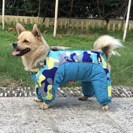 veste rembourré - Pro - canin.com