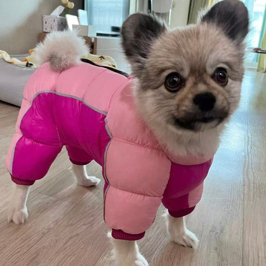 veste rembourré - Pro - canin.com
