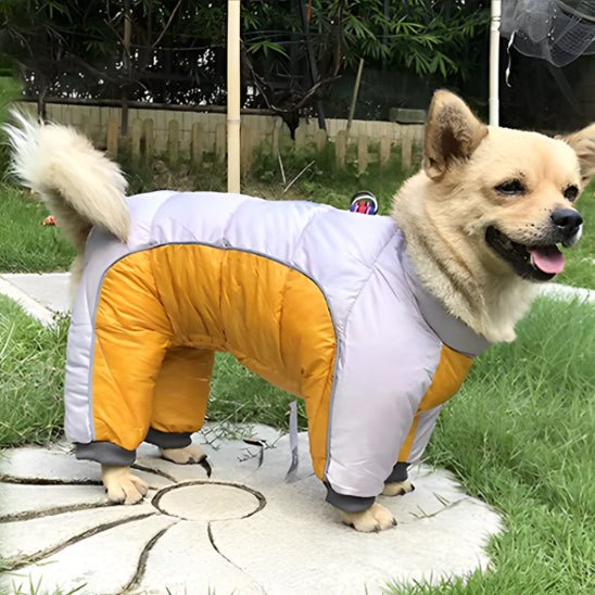 veste rembourré - Pro - canin.com