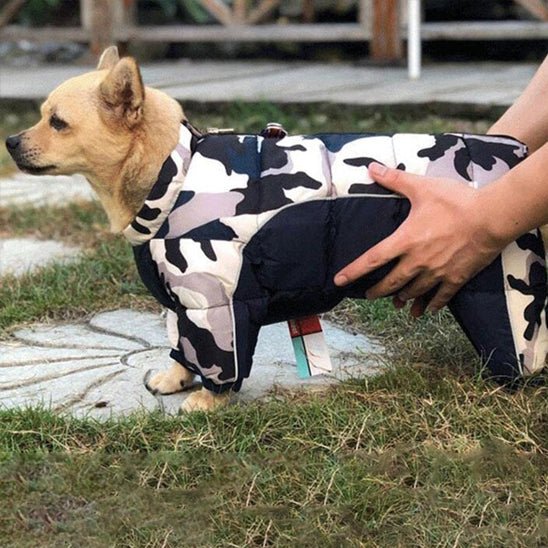 veste rembourré - Pro - canin.com